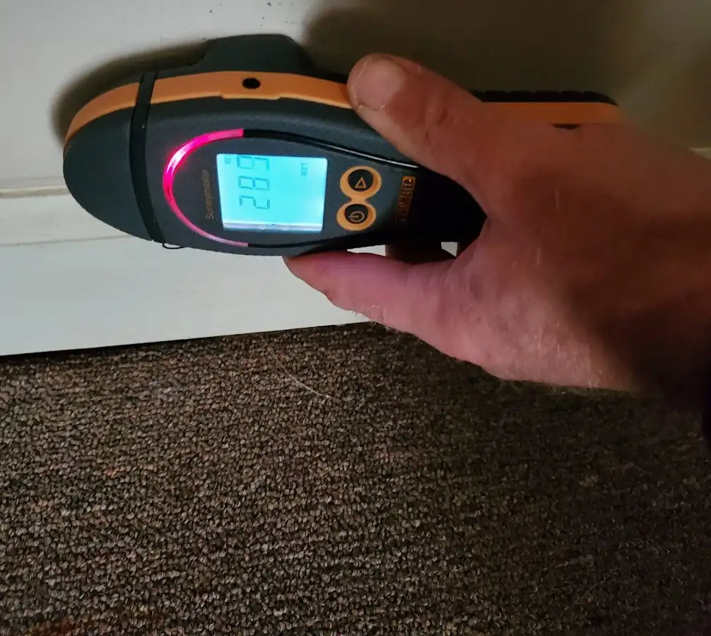 Moisture detection at baseboard during Burst Pipe Cleanup in Berlin